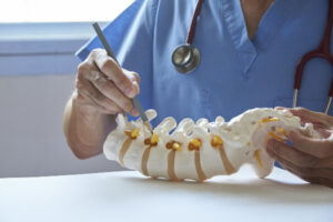 Doctor holding model of a spine in doctor’s office